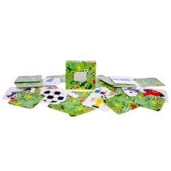 Mini memory voetbal