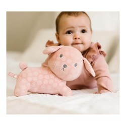 Nijntje Snuffie pink Little Dutch