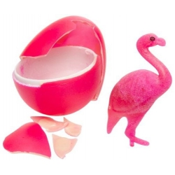 Groei flamingo in ei